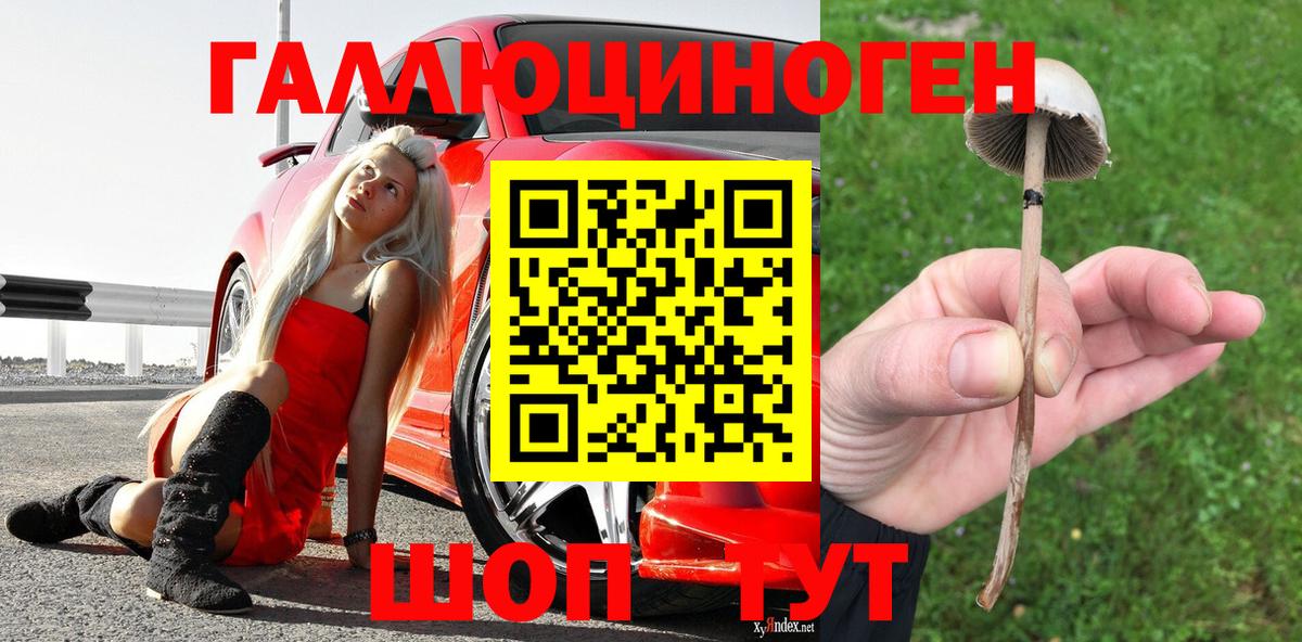Галлюциногенные грибы GOLDEN TEACHER Моздок