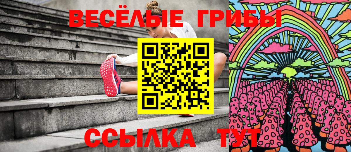 Галлюциногенные грибы прущие грибы  Псилоцибиновые грибы GOLDEN TEACHER  Моздок  Вход с VPN 